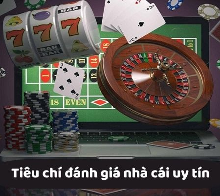 Trang Cá Độ Bóng Đá Hôm Nay Việt Nam – V-League Hot